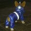 Waterproof Pet Jumpsuit Raincoat