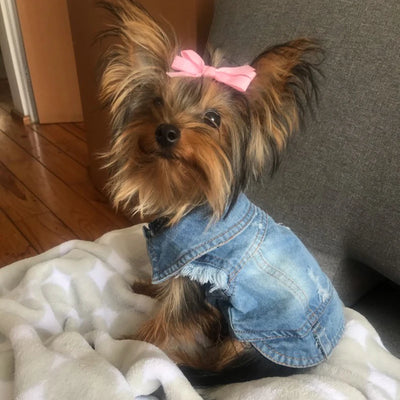 Summer Denim Pet Shirts