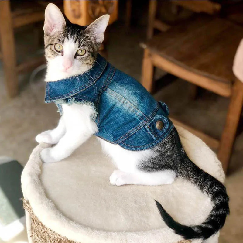 Summer Denim Pet Shirts