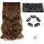 Silky Long Clip-In Hair Extensions