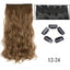 Silky Long Clip-In Hair Extensions