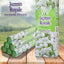 20 Sticks of Natures Scents Incense