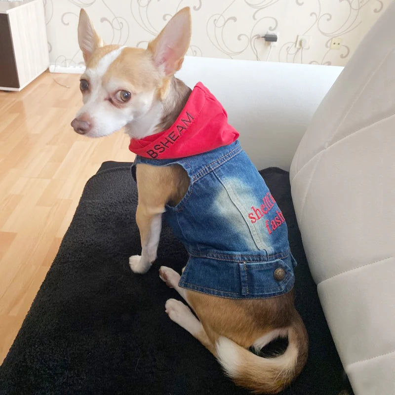 Summer Denim Pet Shirts