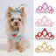 Crown & Hair Clip Bows For Pets