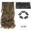 Silky Long Clip-In Hair Extensions