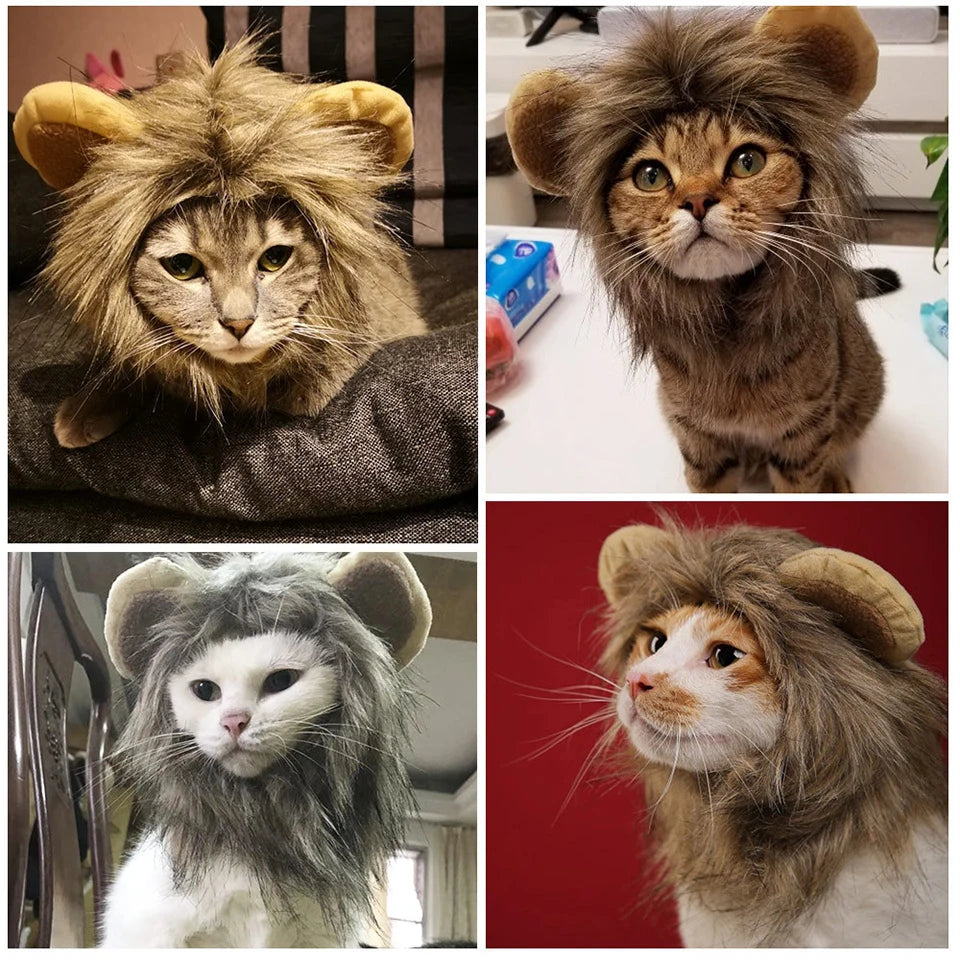 Lion Mane Cat Wig