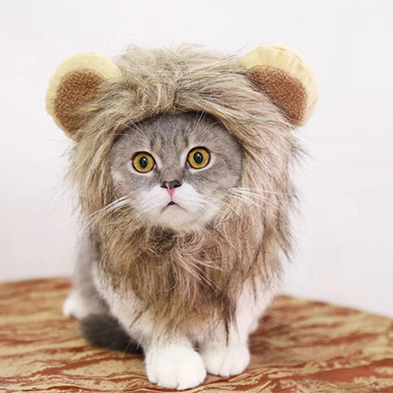 Lion Mane Cat Wig