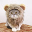 Lion Mane Cat Wig