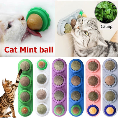 Catnip Wall Toy For Cats