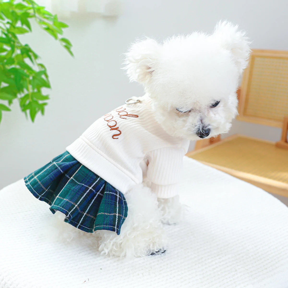 Tartan Pleated Dress For Small To Medium Dogs