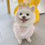 Pet Birthday Suit Bib & Crown Set