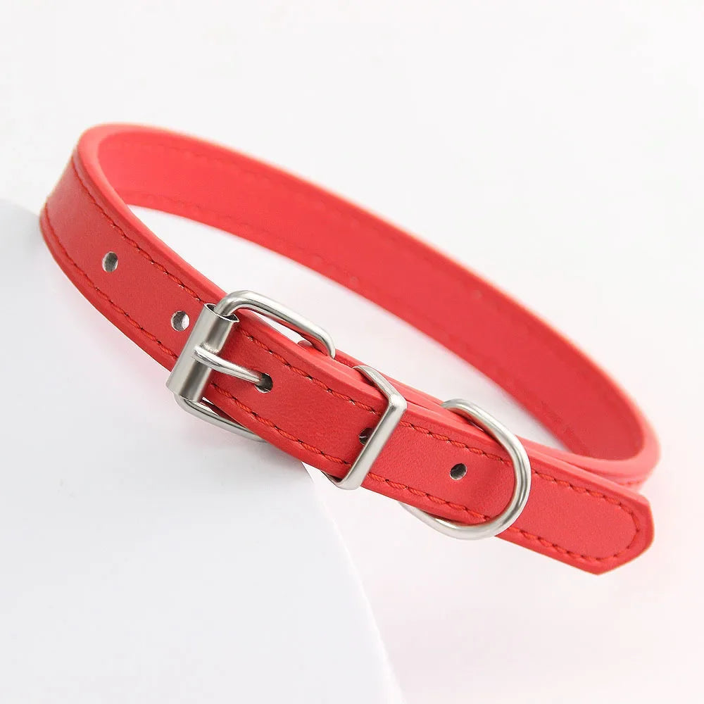 Colorful Leather Puppy & Cat Collar