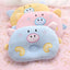 Piggy Pet  Pillow