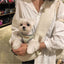 Shoulder Sling Pet Carrier