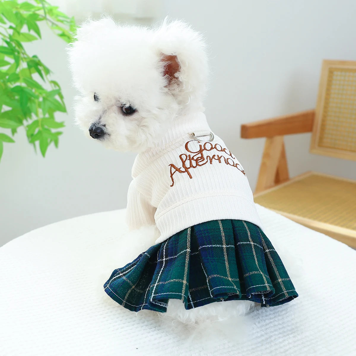 Tartan Pleated Dress For Small To Medium Dogs