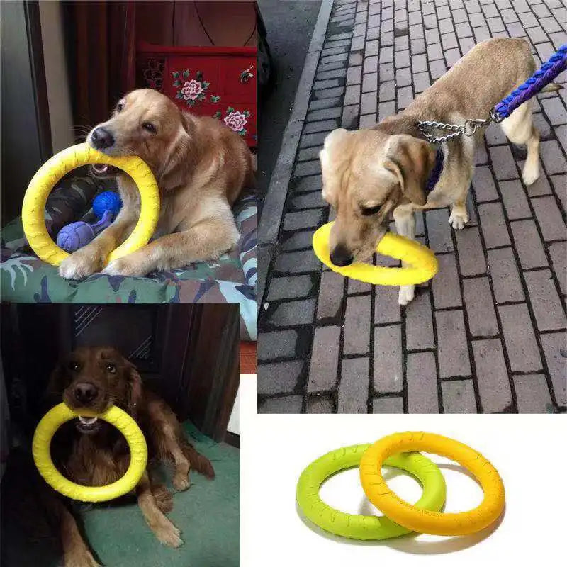 Training Ring Puller Dog Toy